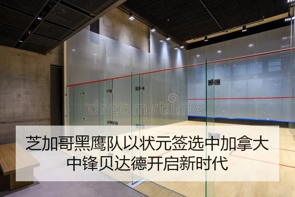 芝加哥黑鹰队以状元签选中加拿大中锋贝达德开启新时代
